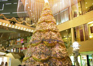 圣誕節(jié)快樂(lè) 互生升分享