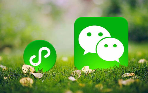 定制開(kāi)發(fā)一套小程序商城要多少錢(qián)