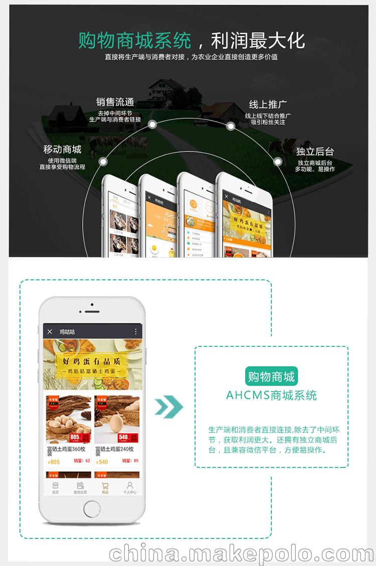 眾牧寶、智慧農業系統源碼、互聯網養殖、養殖眾籌、定制開發