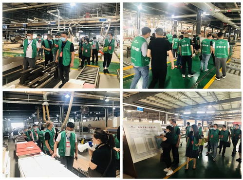 年中盛典，智造未來 619超級工廠購暨財富品鑒會圓滿落幕，揭秘購物商城定制新篇章